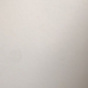 Meet your Posher, Frances